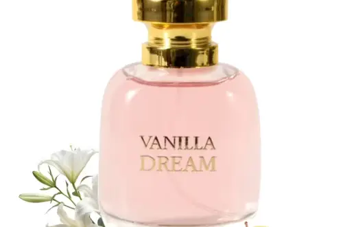 Vanilla Dream Temu Review