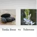 Tonka bean vs Tuberose