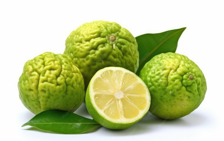 What is bergamot in perfume?